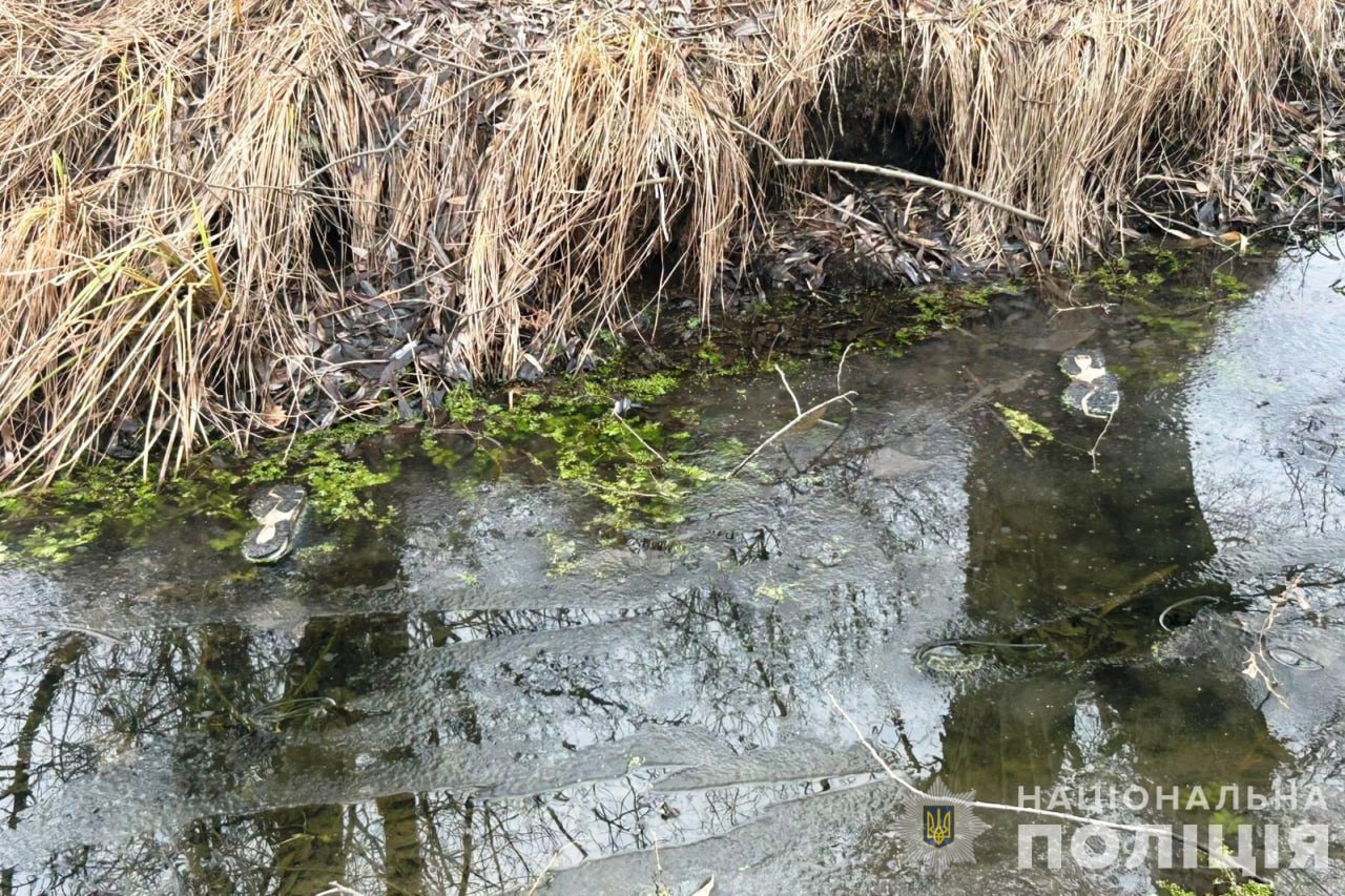 Поліція затримала юнака, який у новорічну ніч обікрав будинок вінничанки