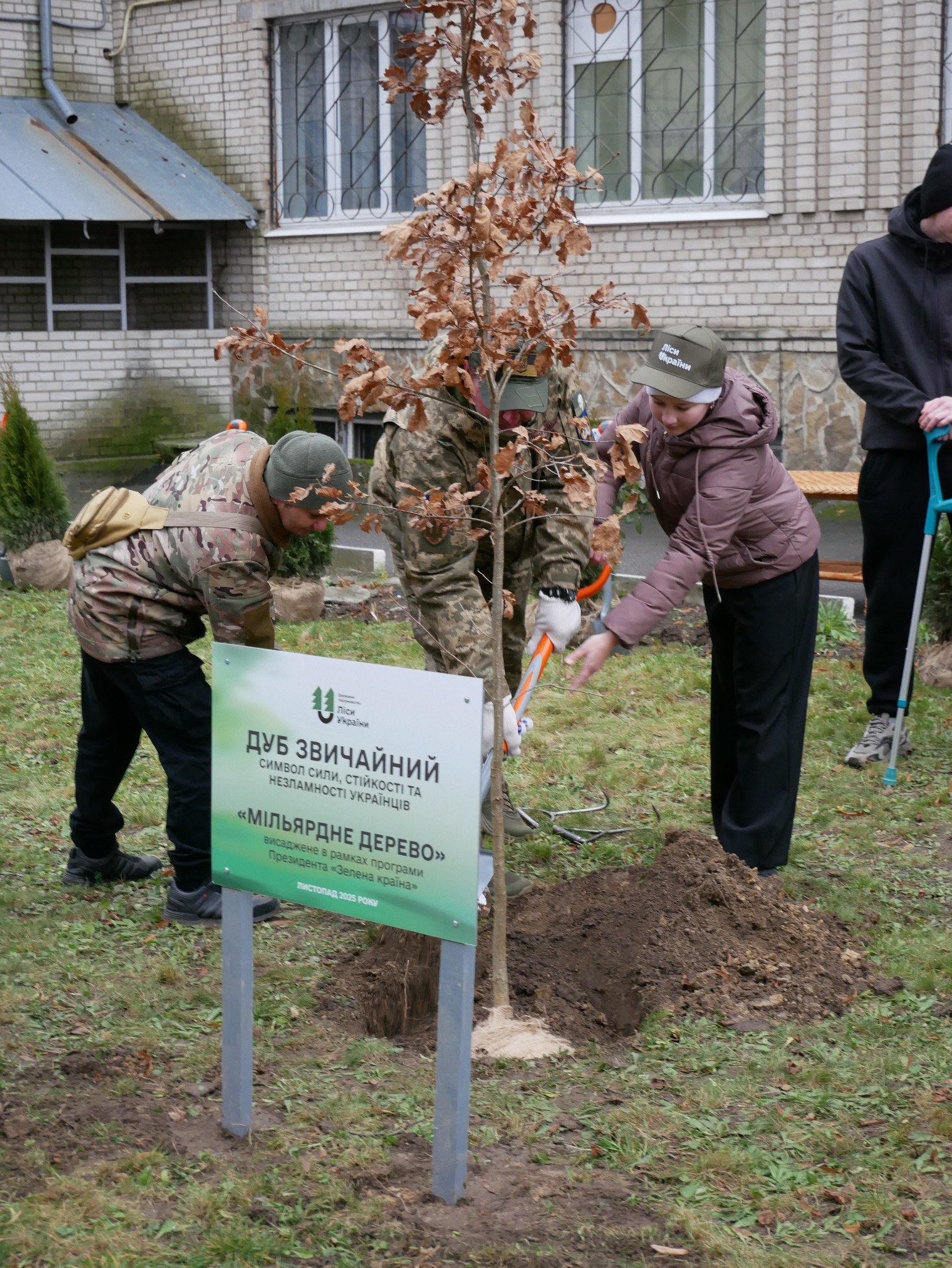 На Вінниччині висадили мільярдне дерево в межах програми «Зелена країна»