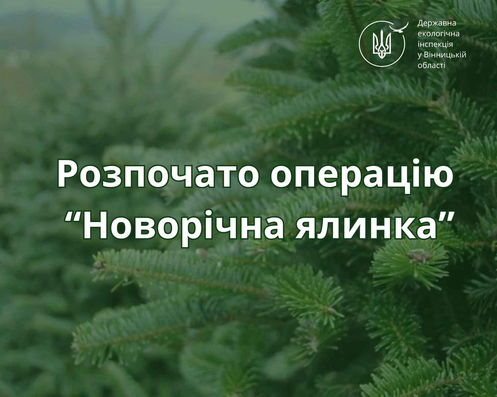 На Вінниччині триває операція «Новорічна ялинка»