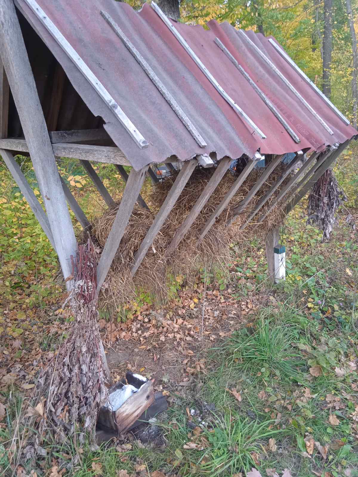 У лісах  перевірили підгодівельні майданчики