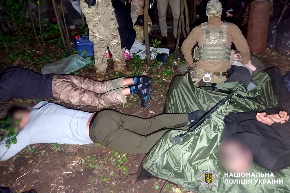 На Вінниччині шестеро чоловіків вирощували коноплі в промислових масштабах