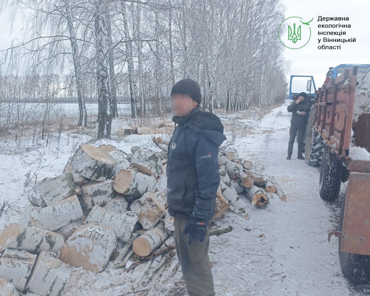 Незаконна рубка дерев у полезахисній смузі на Вінниччині — відкрито кримінальне провадження