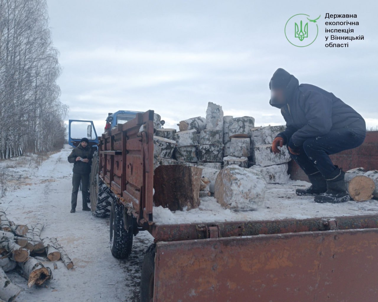 Незаконна рубка дерев у полезахисній смузі на Вінниччині — відкрито кримінальне провадження