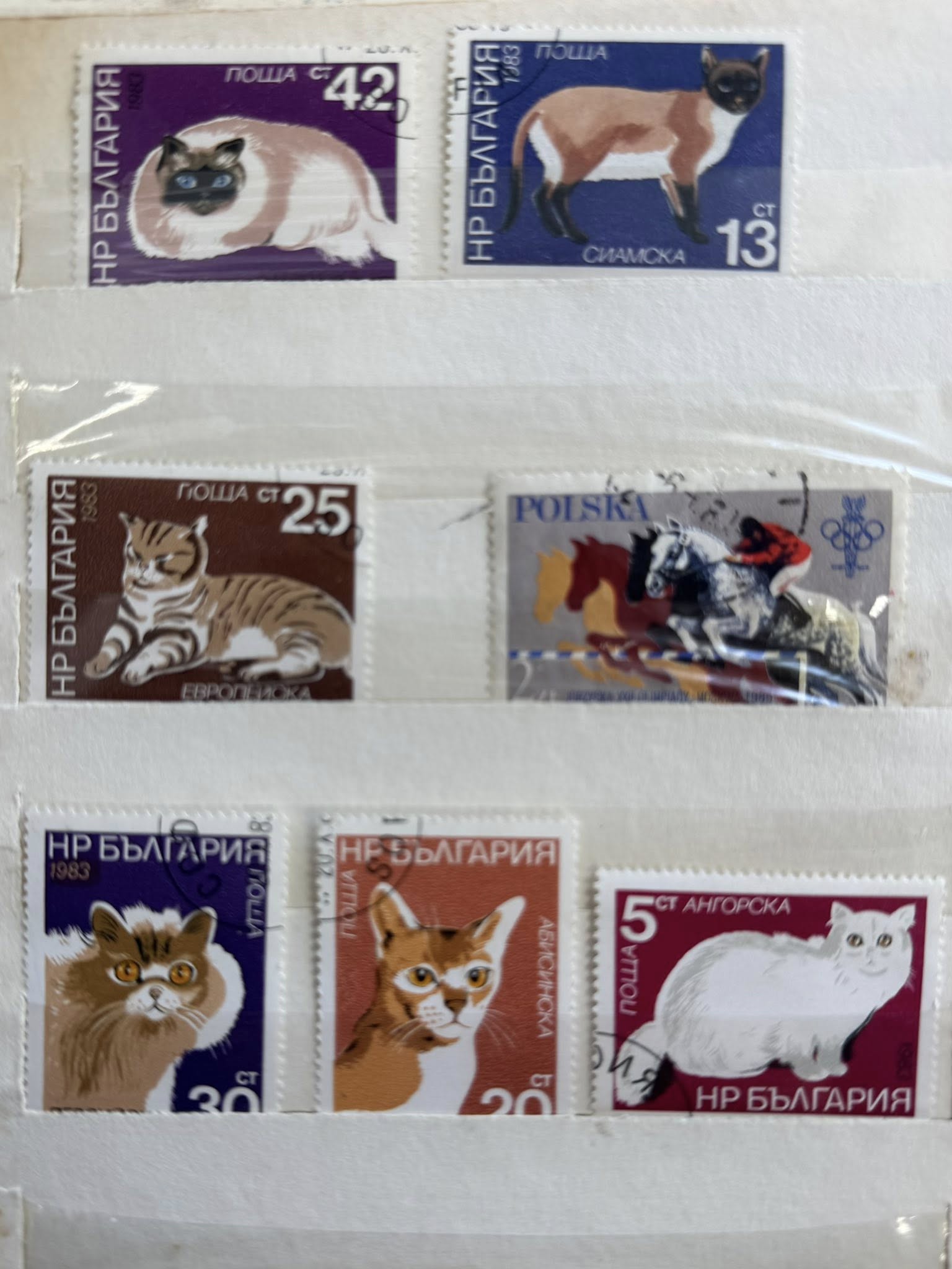 Вінницькі митники запобігли незаконному вивезенню колекції поштових марок