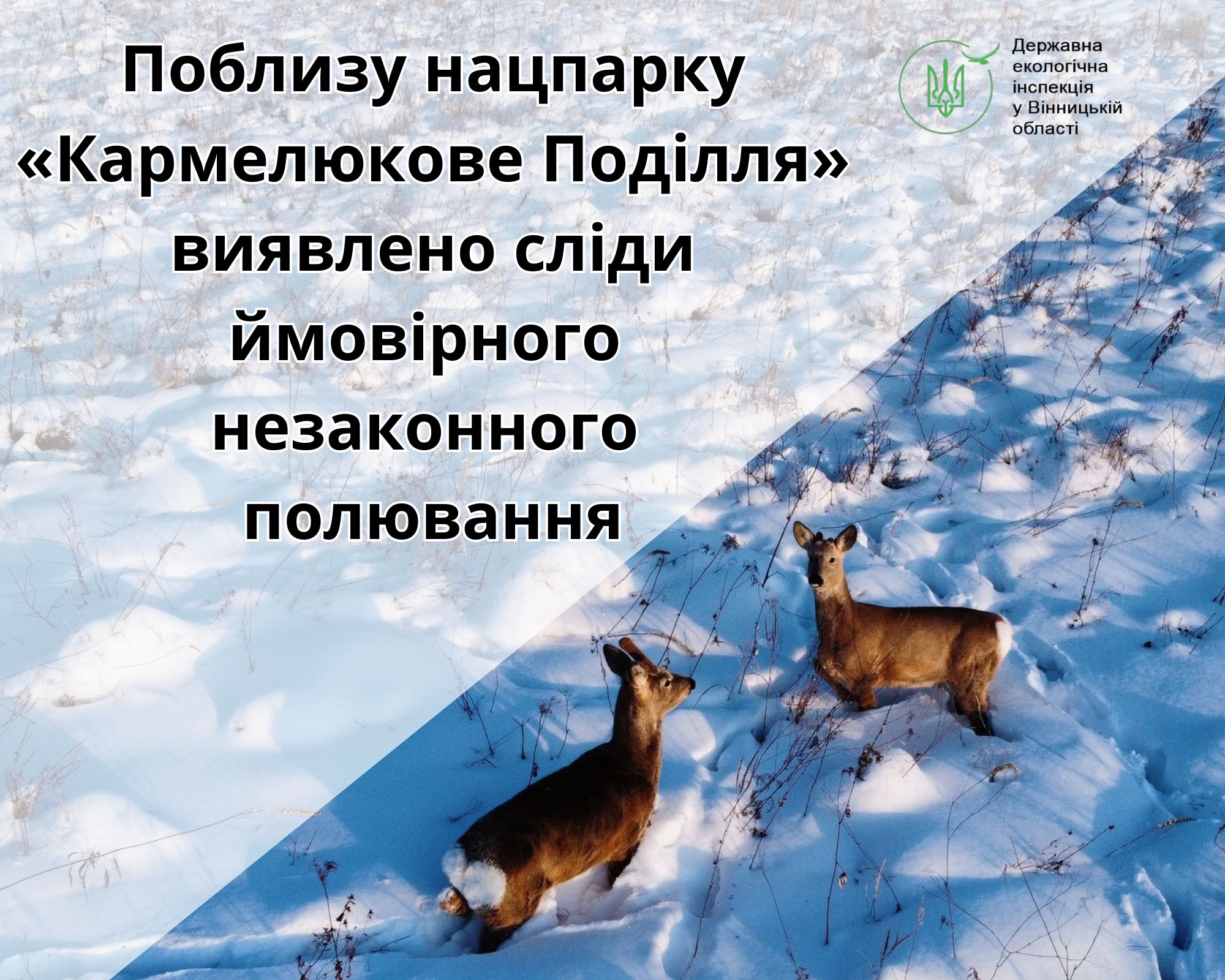 На Вінниччині розслідують можливий факт незаконного полювання у національному природному парку