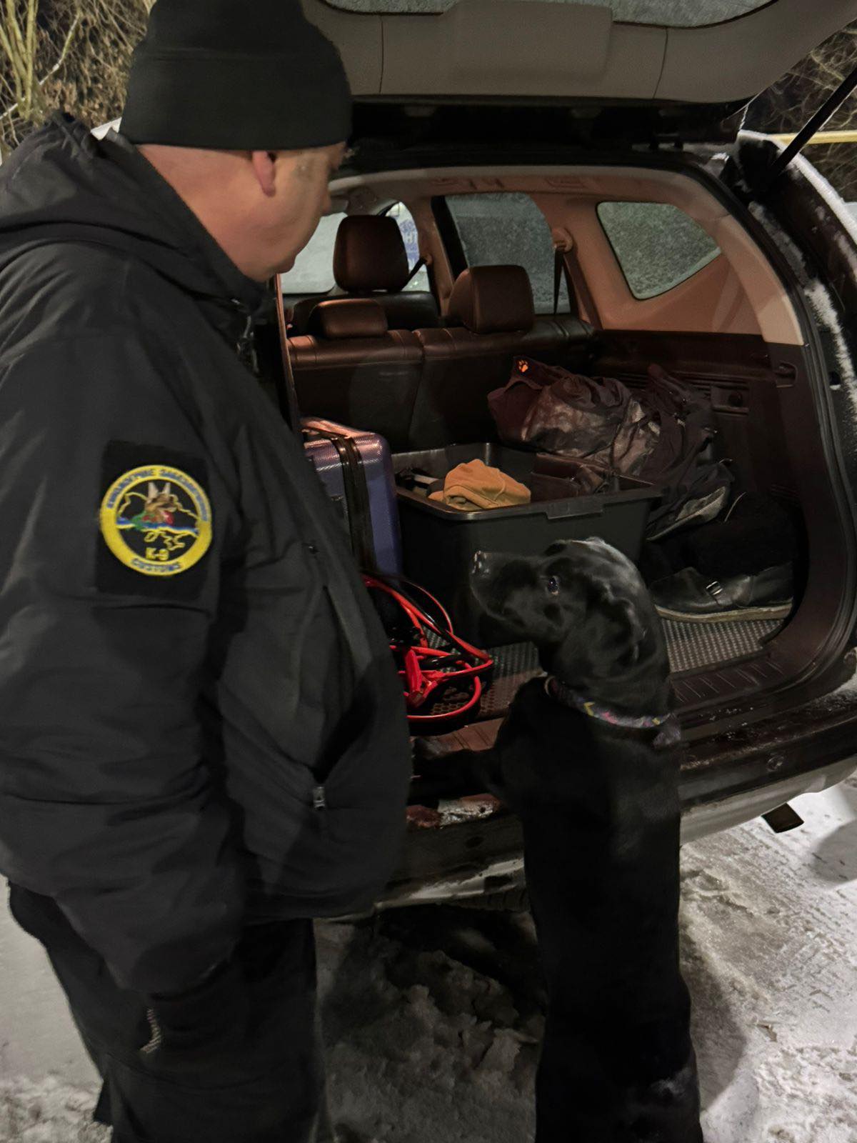 Вінницькі митники запобігли вивезенню з України бойових набоїв, схованих у коробці з-під алкоголю