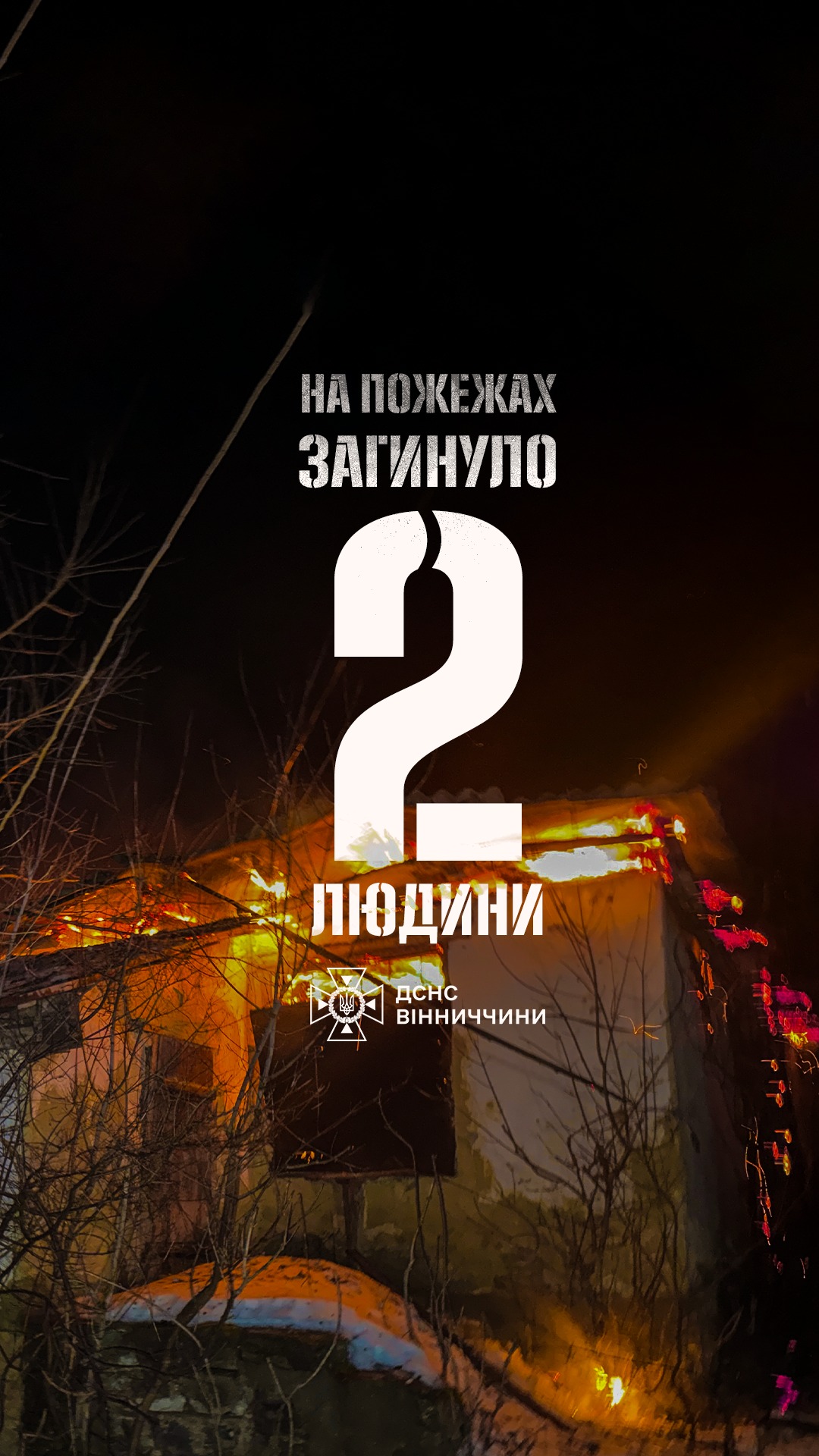96-річна жінка та 48-річний чоловік загинули внаслідок пожеж на Вінниччині