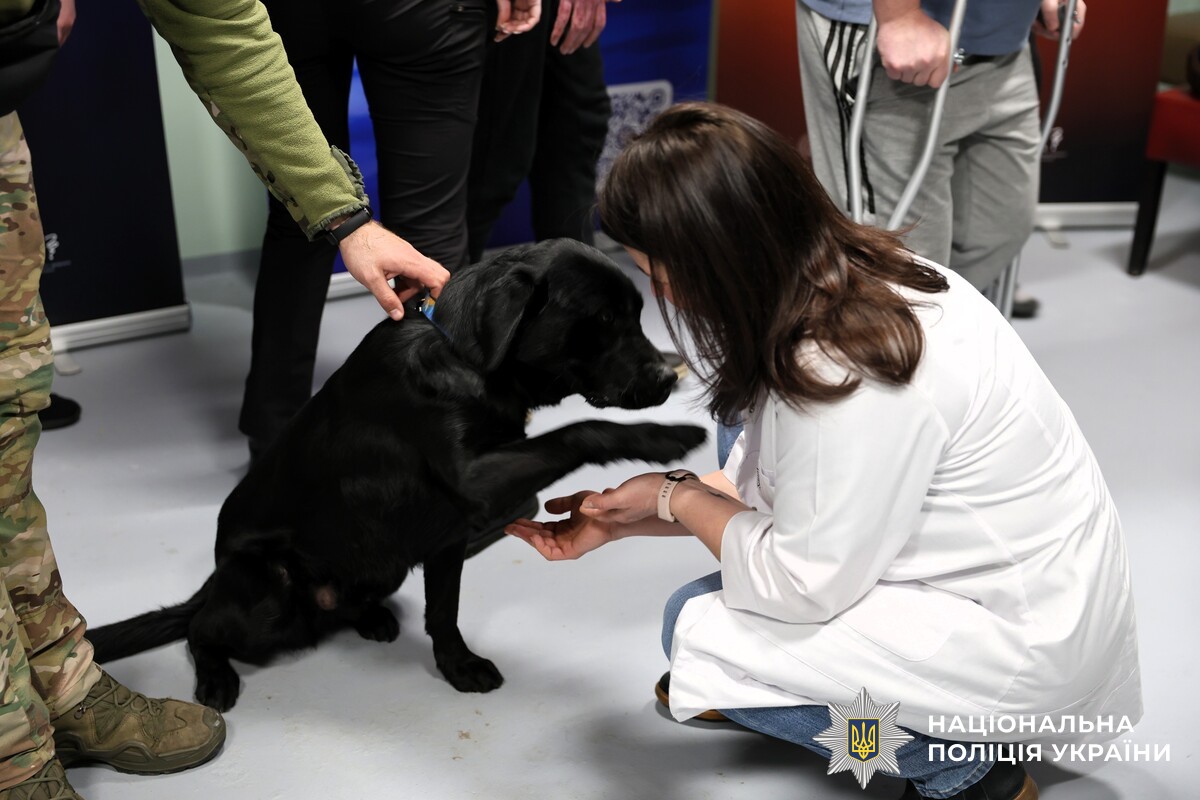 Поранених військових, які проходять реабілітацію на Вінниччині, відвідали кінологи зі службовими собаками