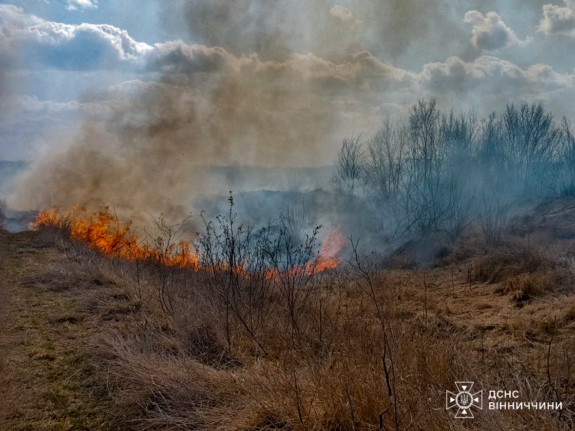 На Вінниччині сталося 11 пожеж, дев’ять із них — на відкритих територіях
