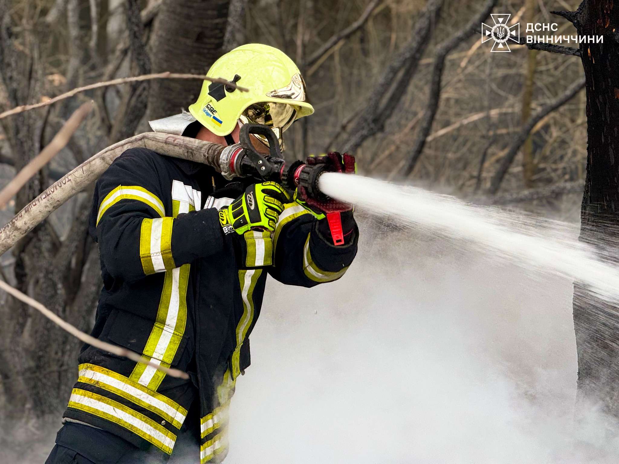 Кількість пожеж у природних екосистемах Вінниччини стрімко зростає