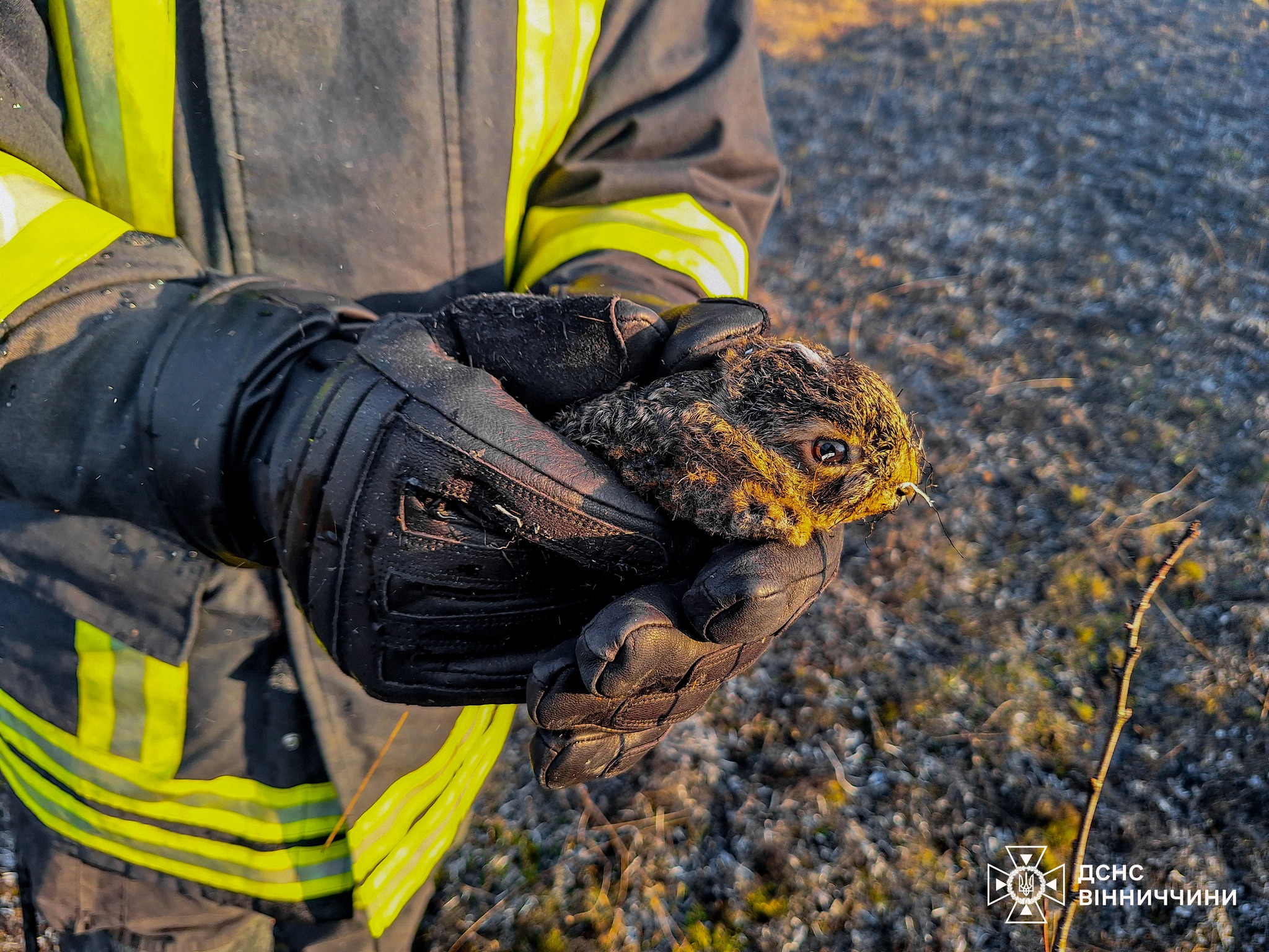 Кількість пожеж у природних екосистемах Вінниччини стрімко зростає
