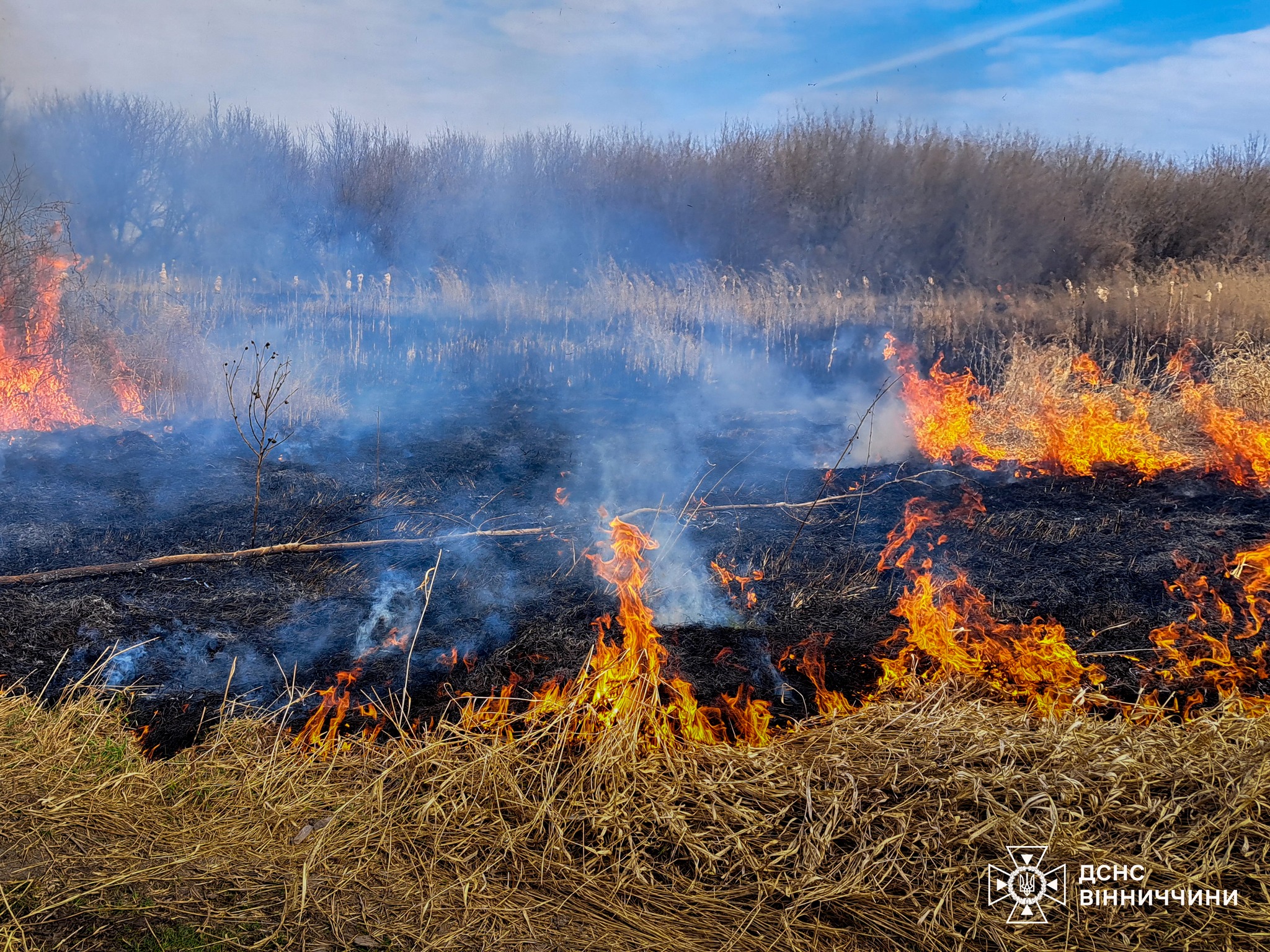 Кількість пожеж у природних екосистемах Вінниччини стрімко зростає