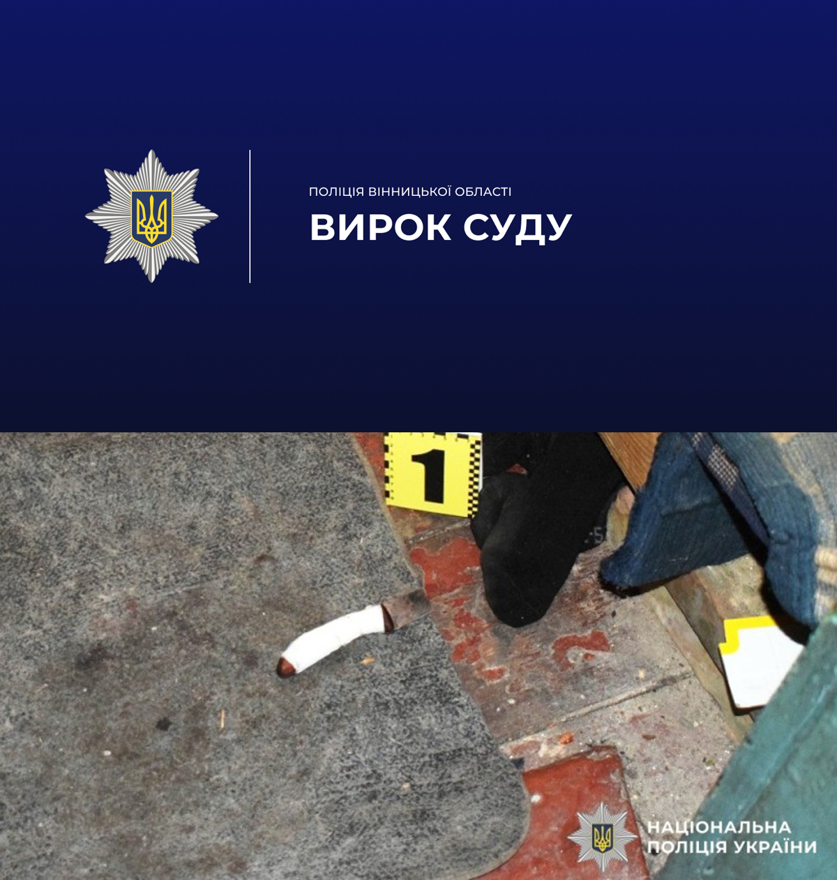 9 років проведе за ґратами житель Гайсинського району за вбивство падчерки