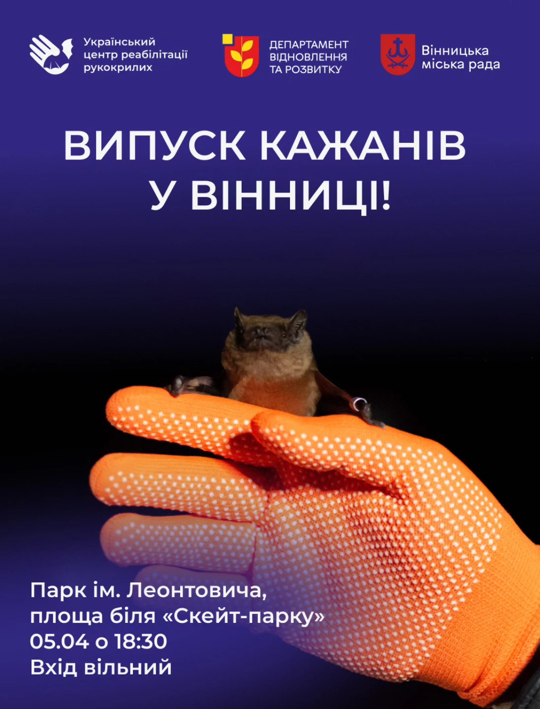 У Вінниці випустять на волю близько 150 врятованих кажанів