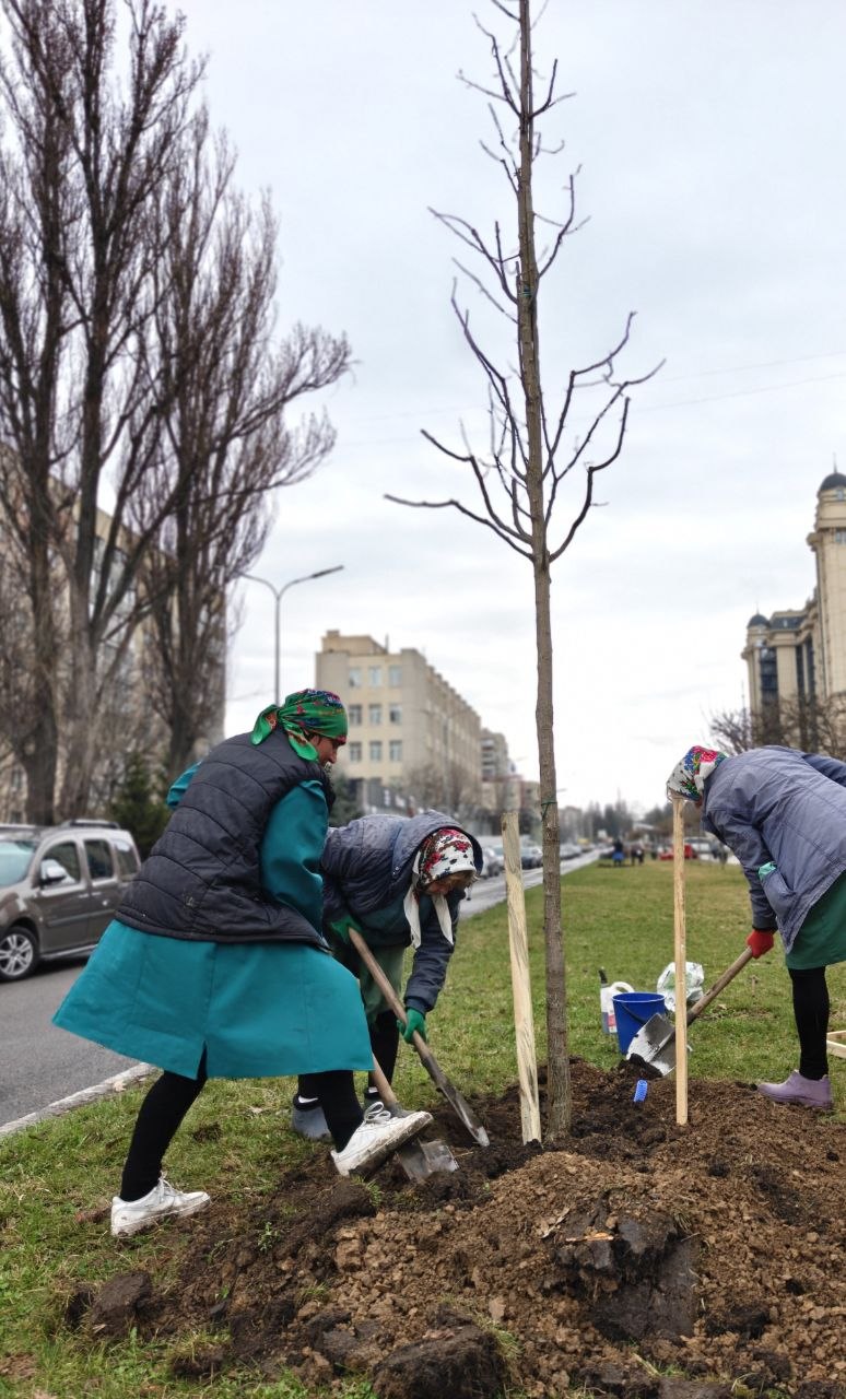 Весняне озеленення стартувало у Вінниці