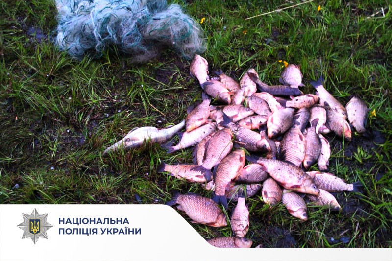 Поліція Вінниччини розпочала 2 кримінальні провадження за фактами незаконного вилову риби
