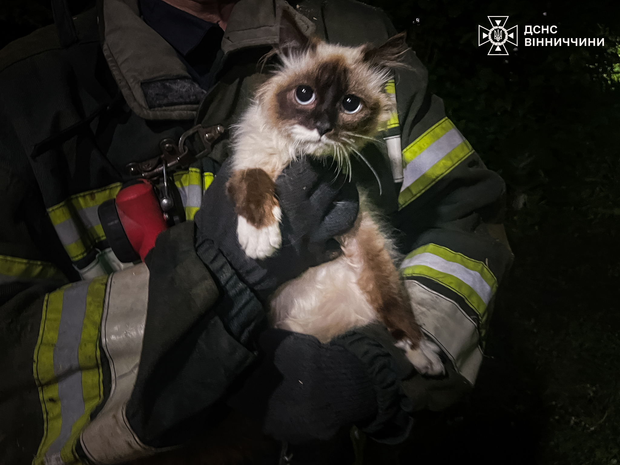 На Вінниччині бійці ДСНС врятували кошеня, яке впало у 20-метрову криницю