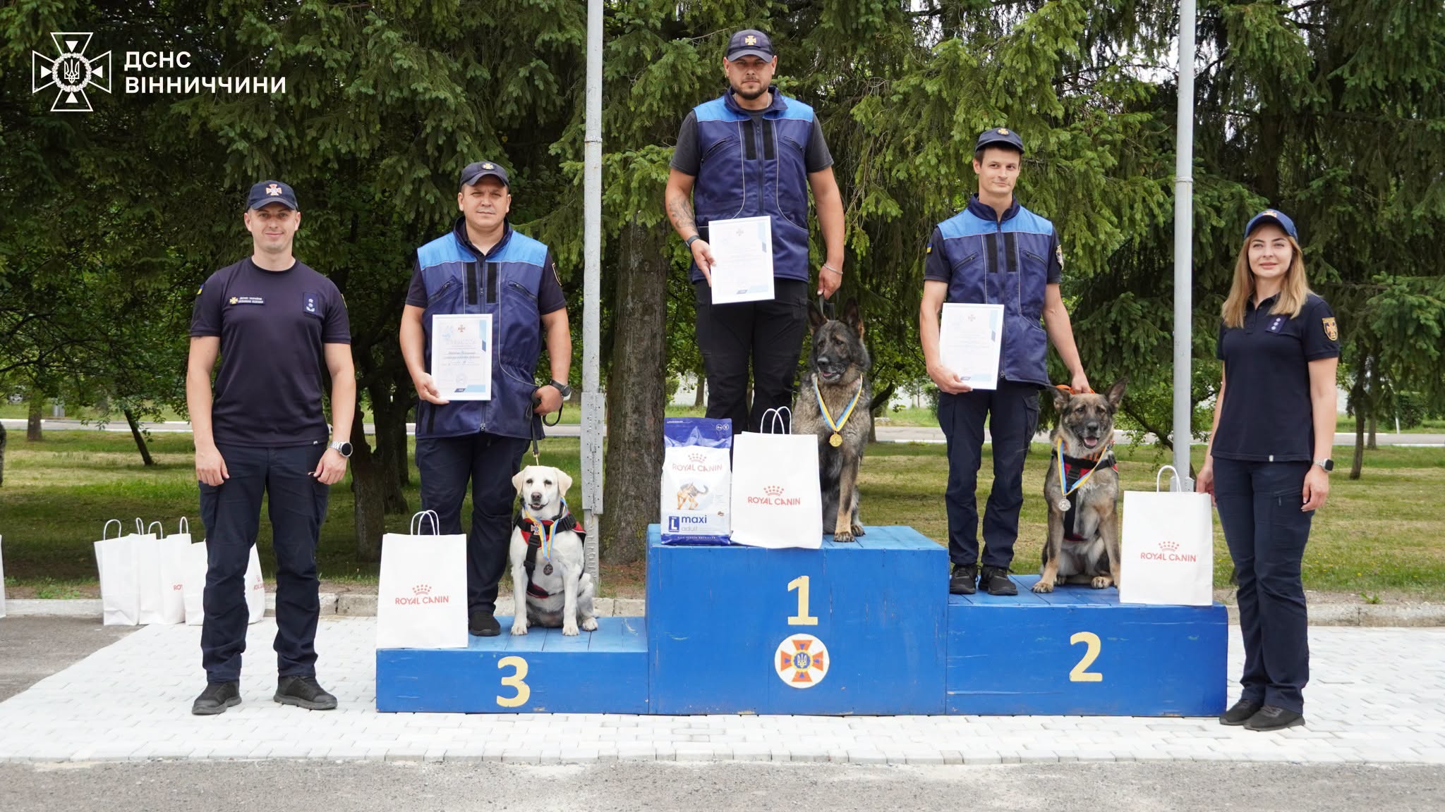 Вінницька вівчарка Фріда стала срібною призеркою всеукраїнської атестації рятувальних собак