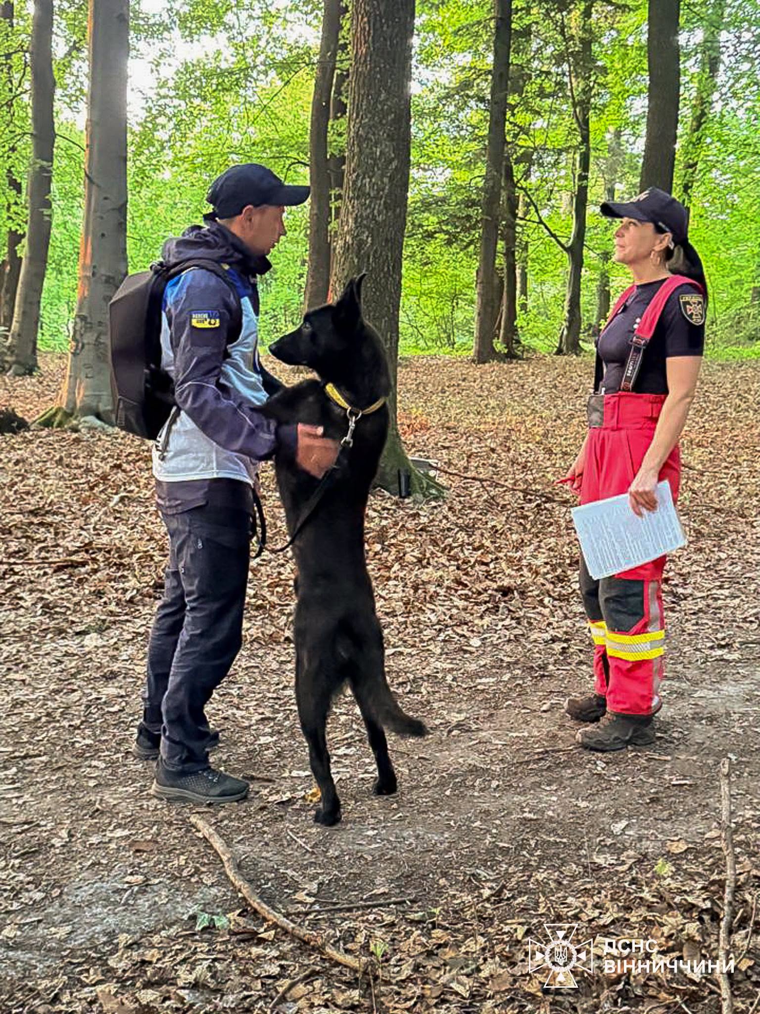 Вінницька вівчарка Фріда стала срібною призеркою всеукраїнської атестації рятувальних собак