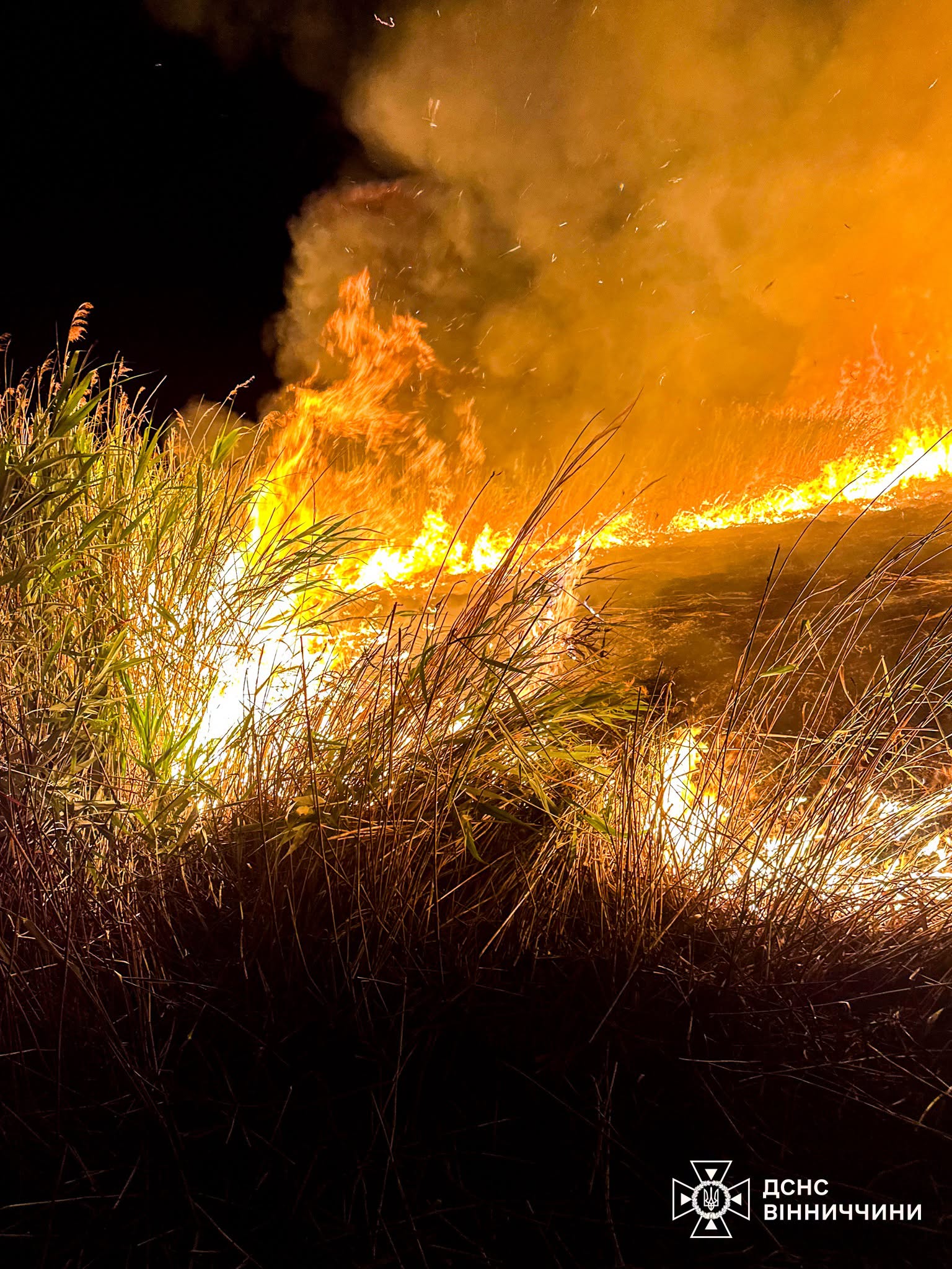 На Вінниччині під час пожежі постраждала 9-річна дівчинка
