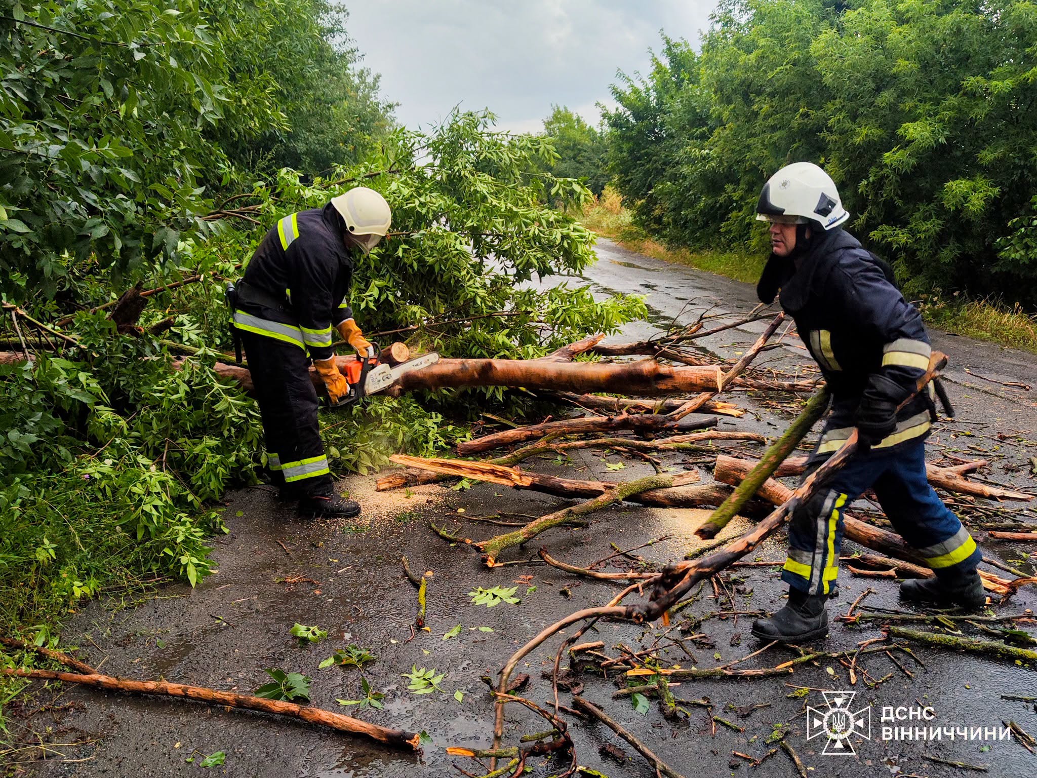 На Вінниччині рятувальники ліквідували наслідки негоди
