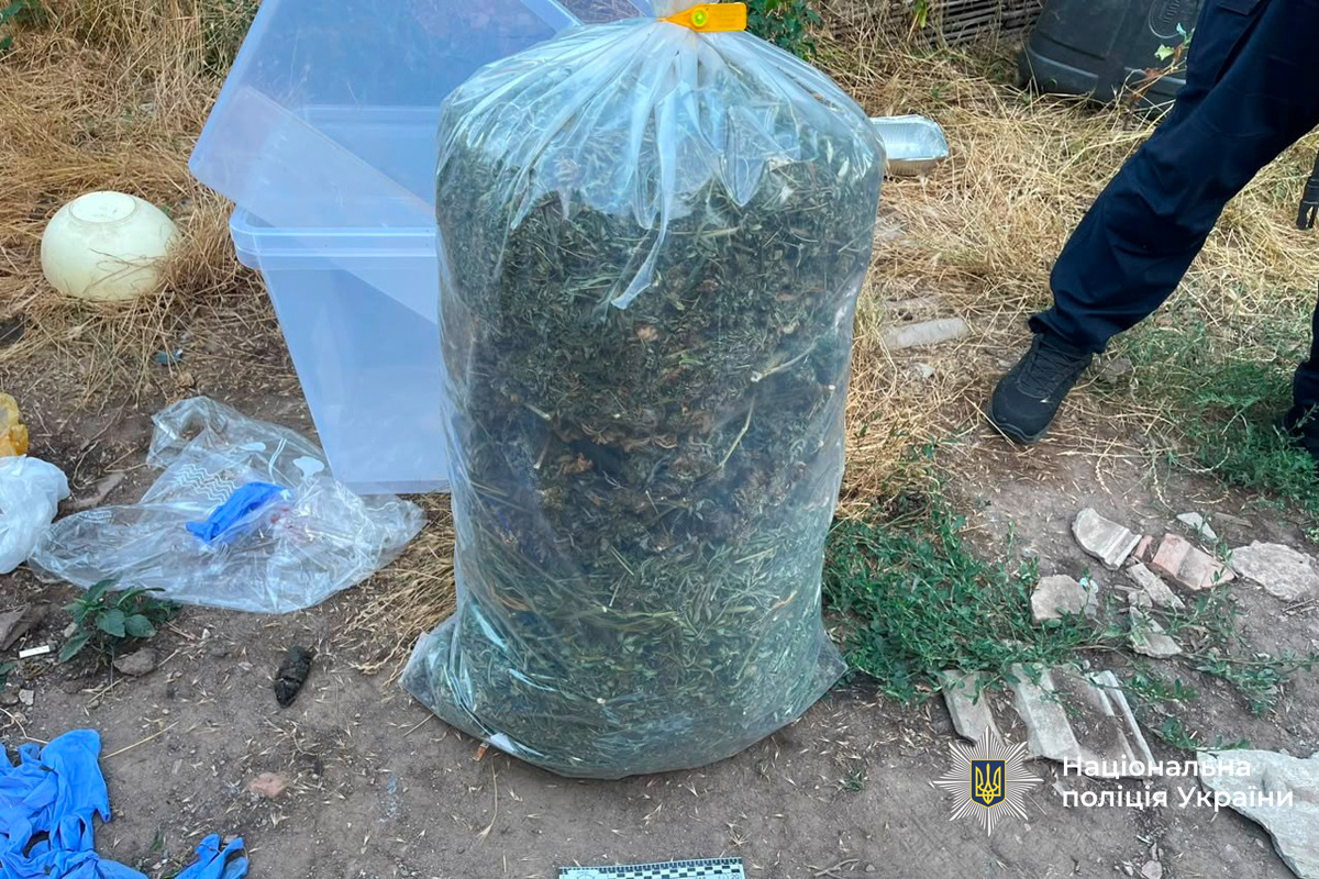 Жителю Вінниччини загрожує до 12 років за ґратами за вирощування конопель