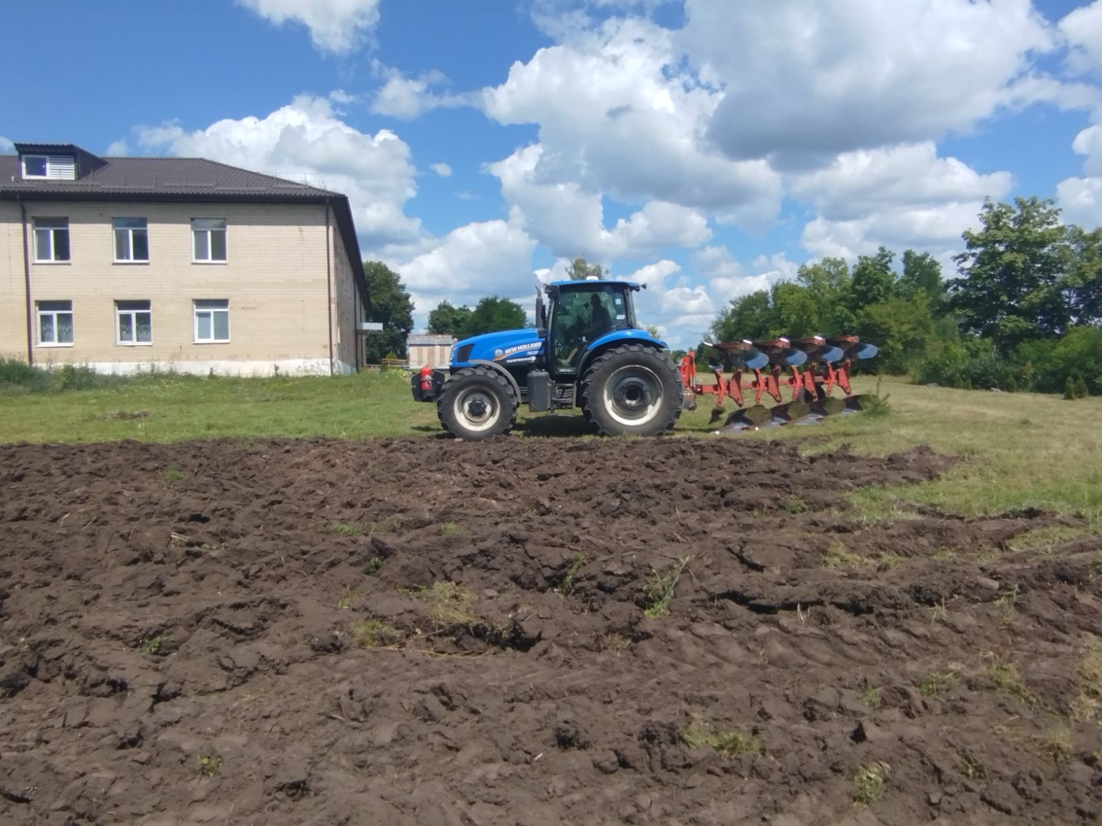 У Новій Греблі на Вінниччині закладають лавандове поле, яке стане місцем відпочинку та реабілітації