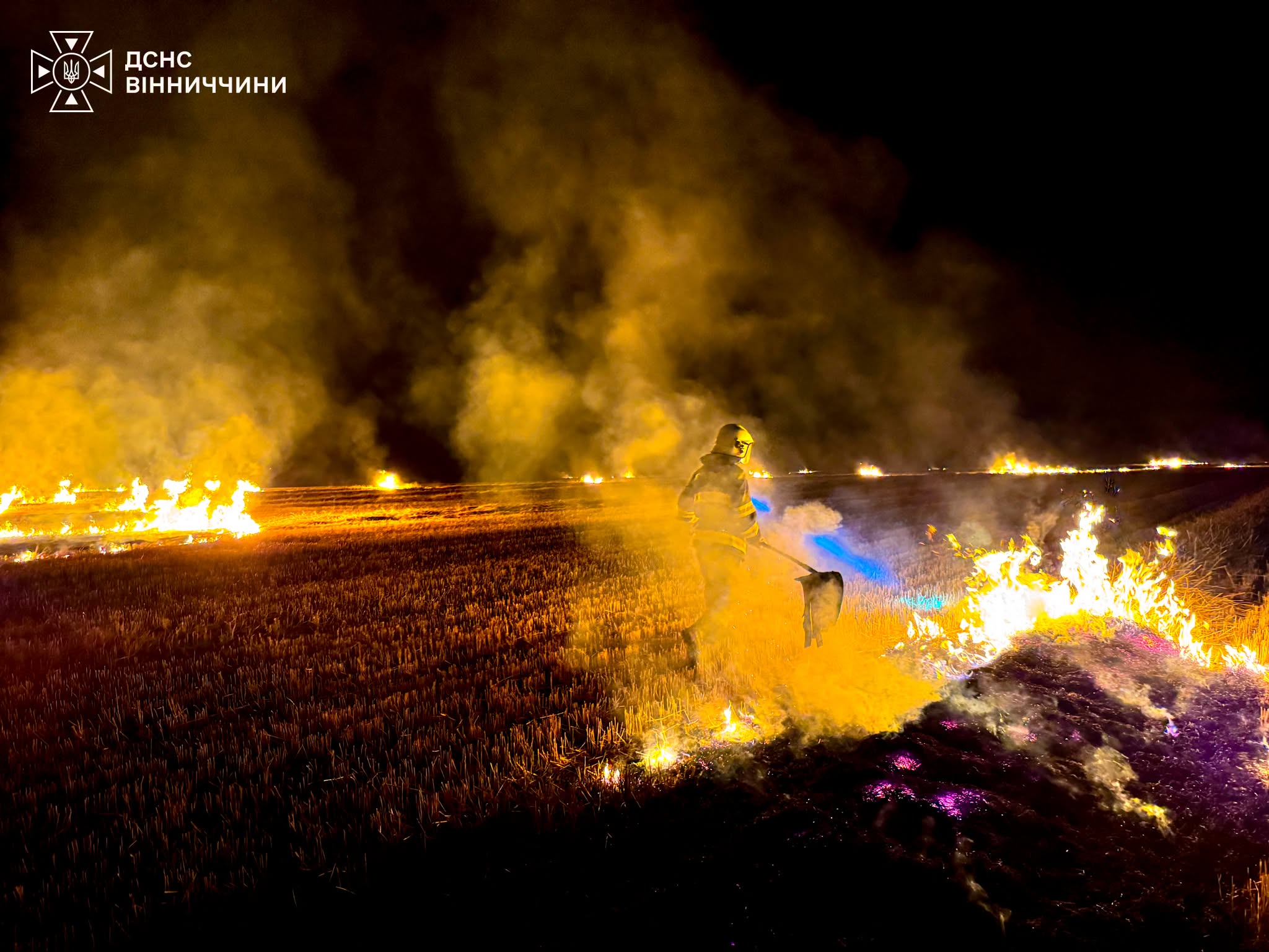 Понад 6 гектарів землі знищив вогонь: на Вінниччині зафіксували 16 пожеж