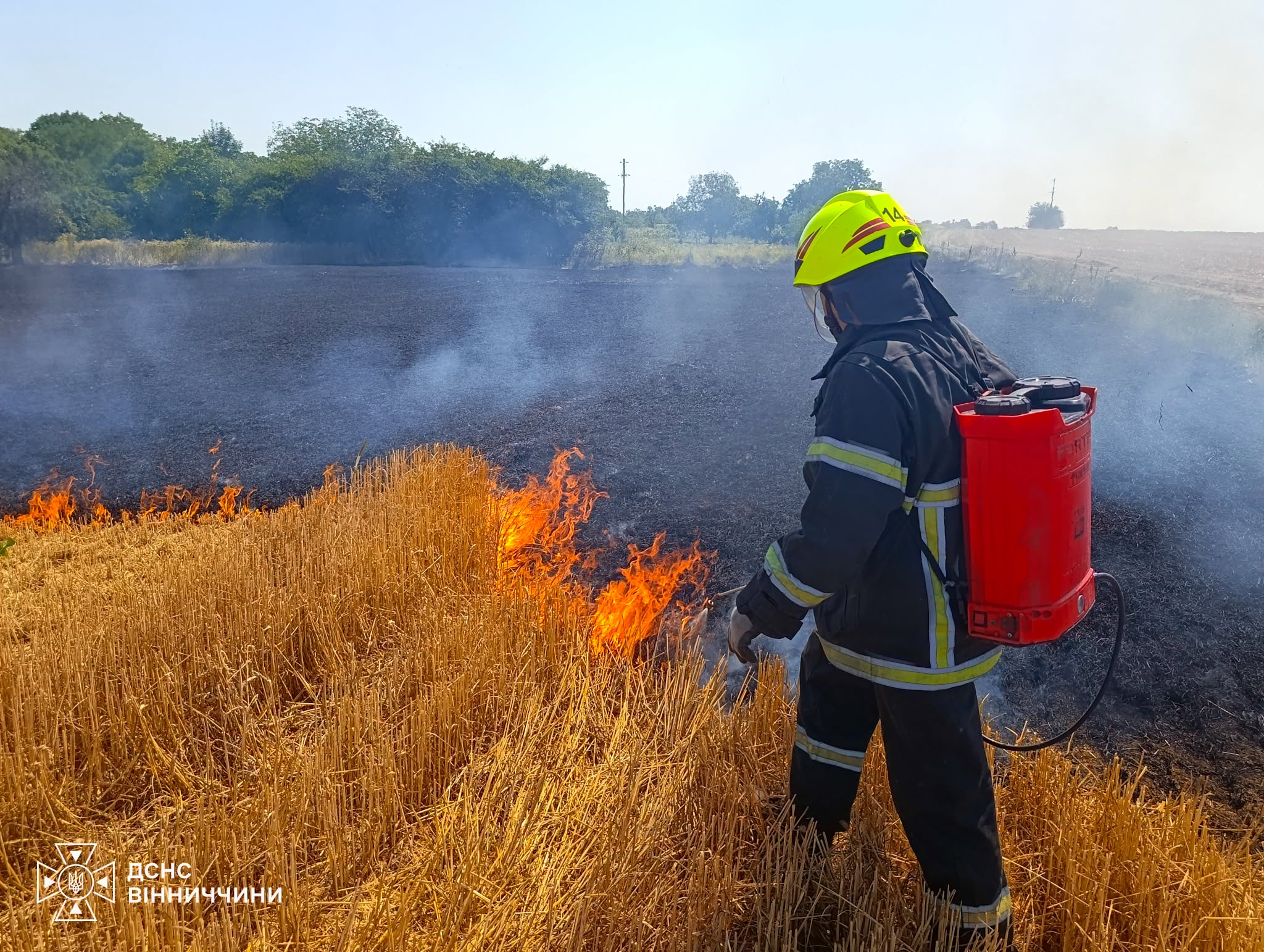 Понад 6 гектарів землі знищив вогонь: на Вінниччині зафіксували 16 пожеж