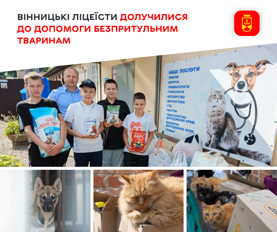 Вінницькі ліцеїсти долучилися до допомоги безпритульним тваринам