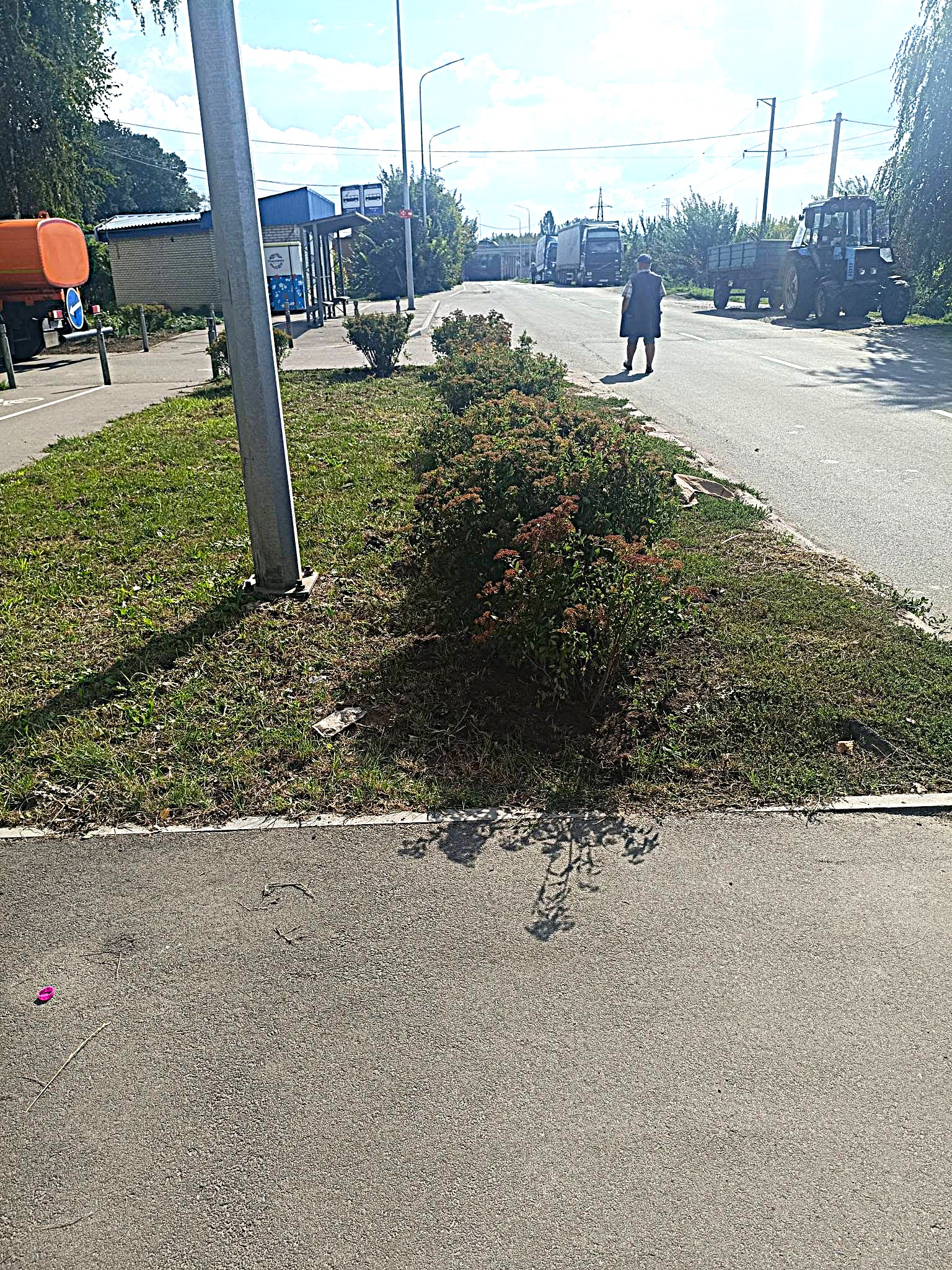 Нові клумби та насадження: у Десні провели роботи з озеленення