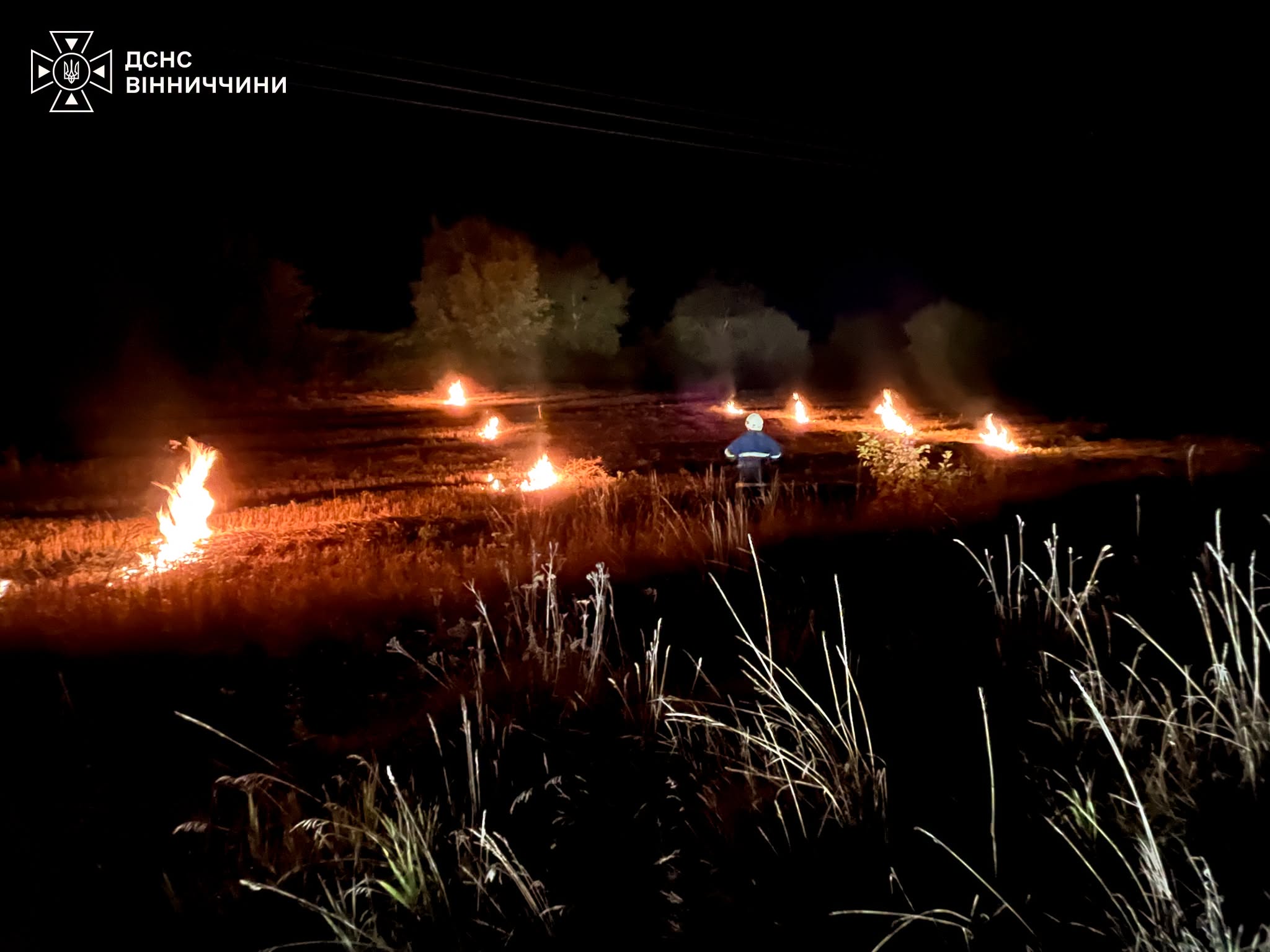 Понад 4 гектари вигоріло на Вінниччині через пожежі в екосистемах