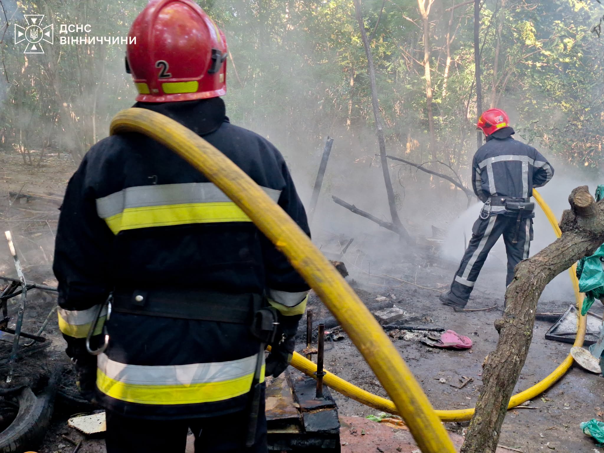 35 собак врятували з пожежі у Вінниці