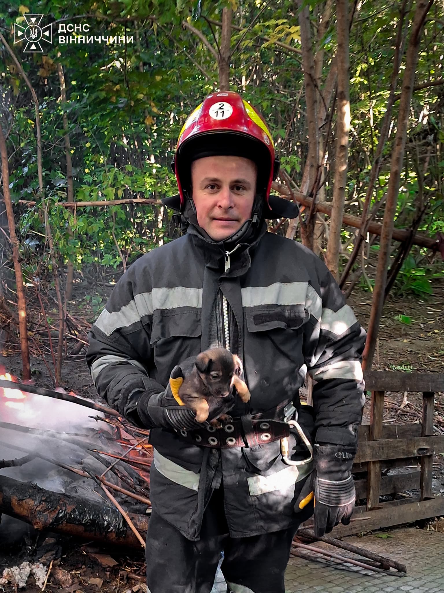 35 собак врятували з пожежі у Вінниці
