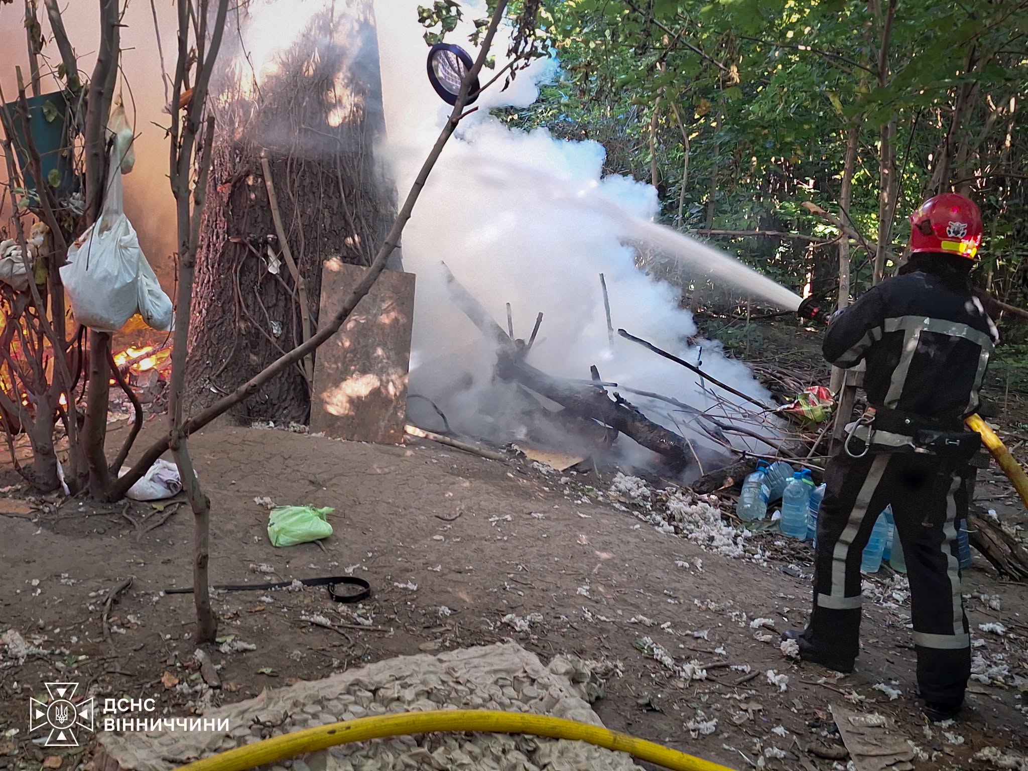 35 собак врятували з пожежі у Вінниці