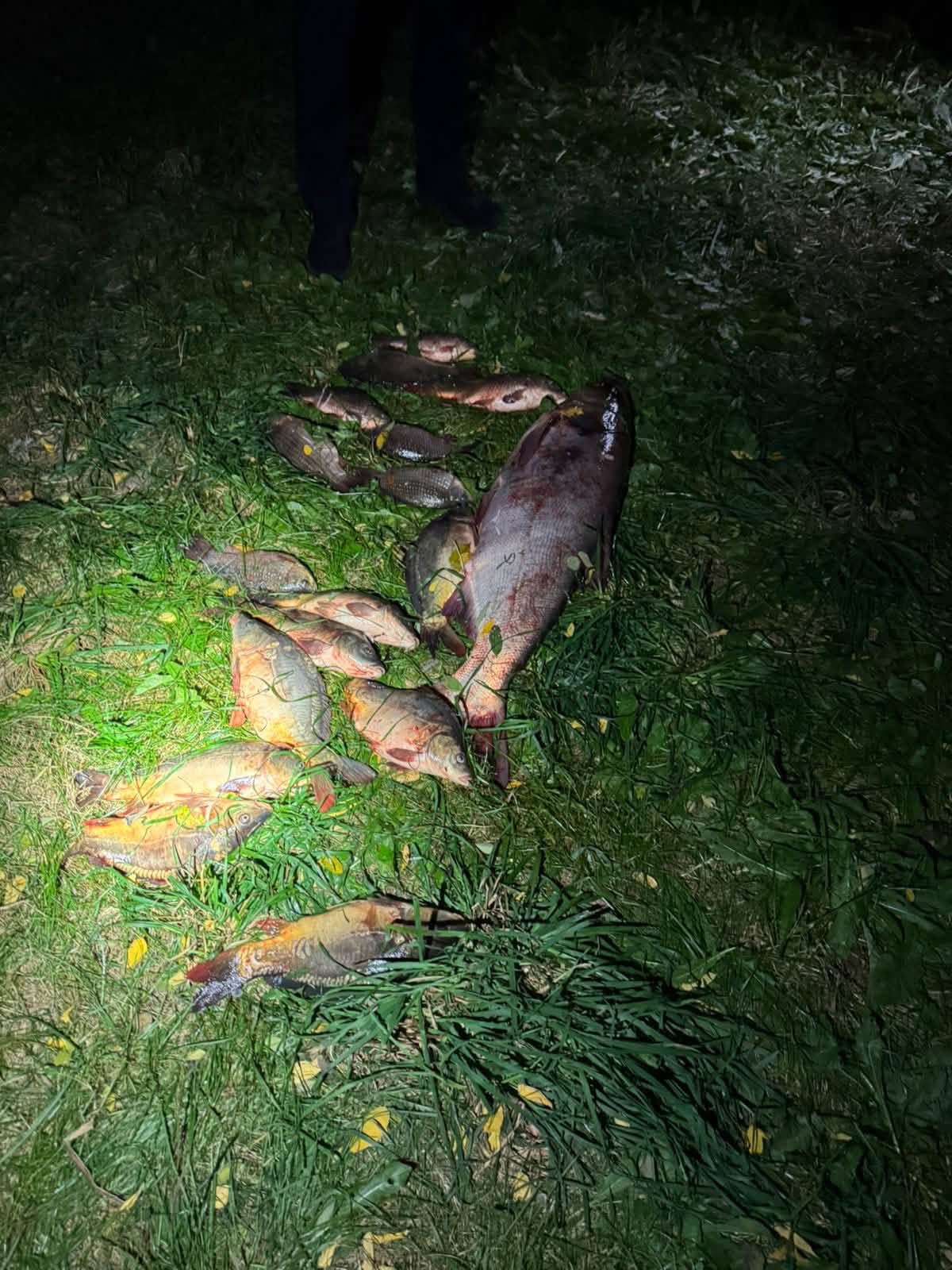 На Вінниччині рибалка незаконно наловив риби на 53 тисячі гривень