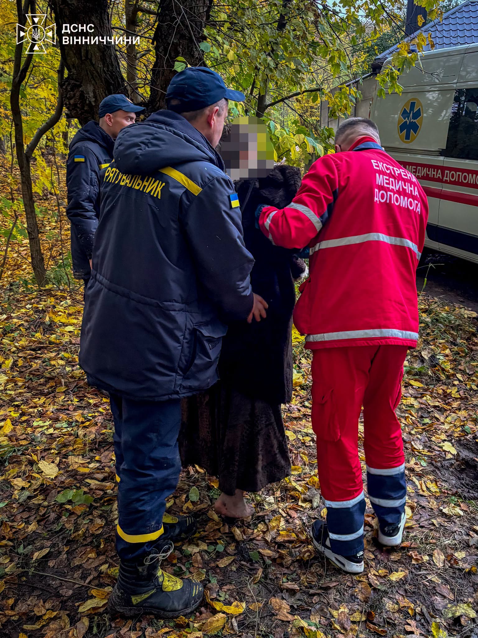 У П’ятничанському лісі у Вінниці заблукала 67-річна жінка
