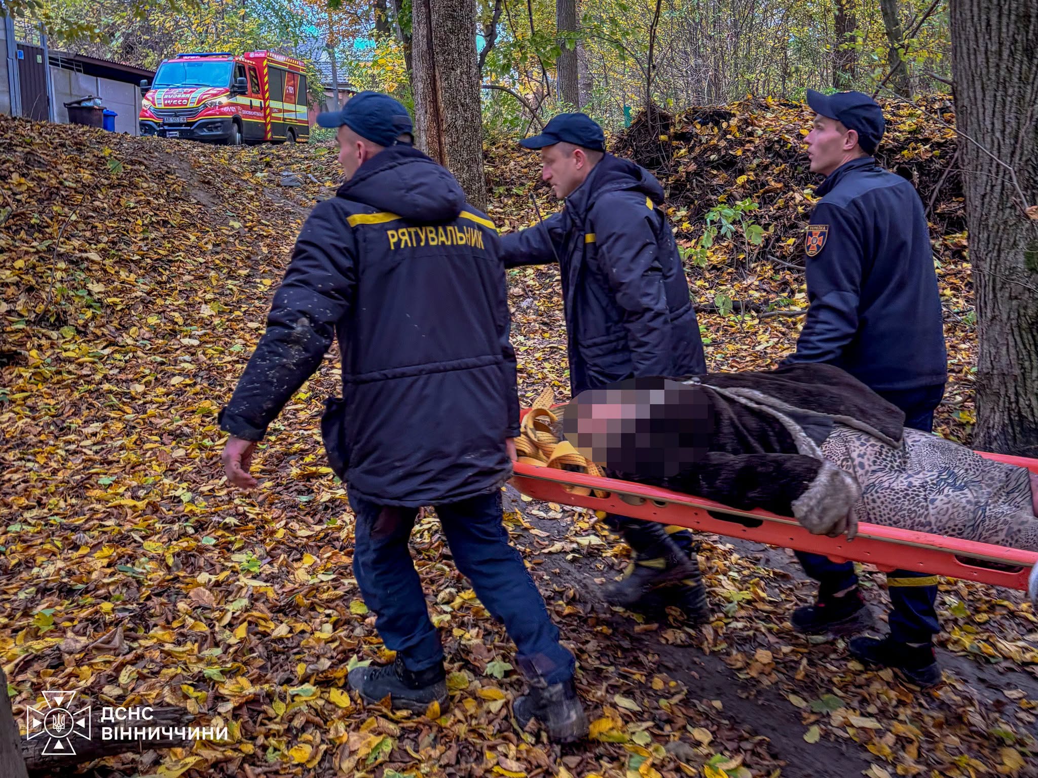 У П’ятничанському лісі у Вінниці заблукала 67-річна жінка