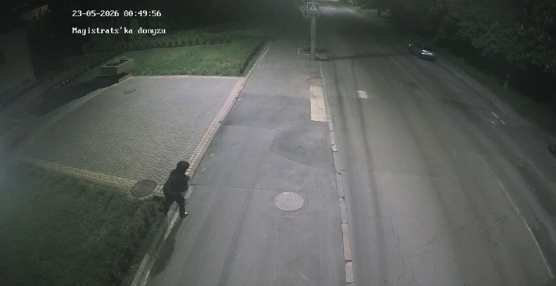 «Поверніть рослину на місце»: у «Вінницяобленерго» звернулися до жінки, яка вирвала кущ із клумби